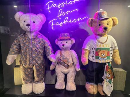 Teddy buddy